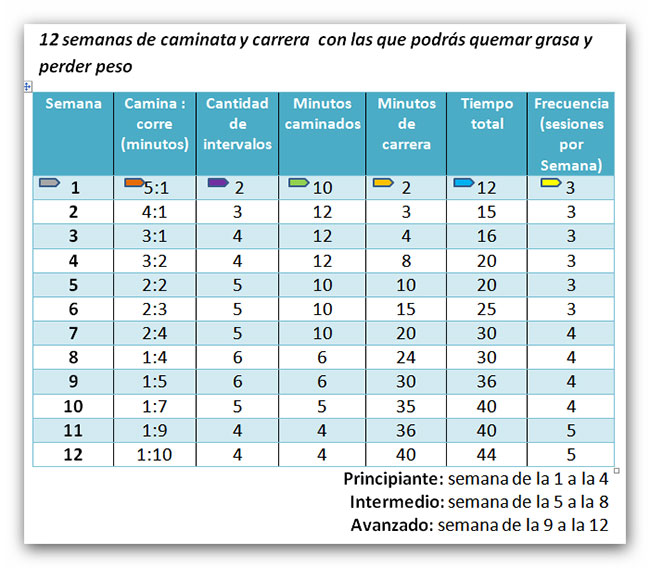 rutina-de-12-semanas-de-caminata-y-carrera-para-quemar-grasa-y-perder-peso