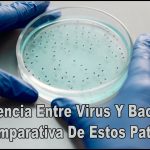 Diferencia Entre Virus Y Bacteria: Una Comparativa De Estos Patógenos