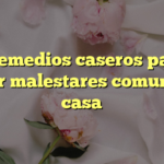 5 remedios caseros para aliviar malestares comunes en casa