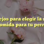Consejos para elegir la mejor comida para tu perro
