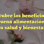 Descubre los beneficios de una buena alimentación para tu salud y bienestar