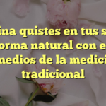 Elimina quistes en tus senos de forma natural con estos remedios de la medicina tradicional