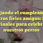 Festejando el cumpleaños de nuestros fieles amigos: Ideas originales para celebrar a nuestros perros