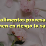 Los alimentos procesados: ¿ponen en riesgo tu salud?