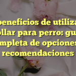 Los beneficios de utilizar un collar para perro: guía completa de opciones y recomendaciones