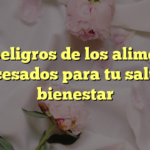 Los peligros de los alimentos procesados para tu salud y bienestar