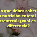 Todo lo que debes saber sobre la nutrición enteral y parenteral: ¿cuál es la diferencia?