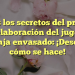 Todos los secretos del proceso de elaboración del jugo de naranja envasado: ¡Descubre cómo se hace!