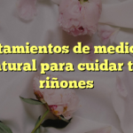 Tratamientos de medicina natural para cuidar tus riñones