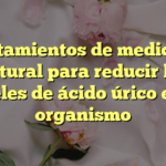 Tratamientos de medicina natural para reducir los niveles de ácido úrico en el organismo