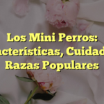 Los Mini Perros: Características, Cuidados y Razas Populares