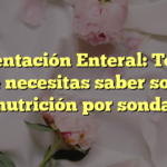 Alimentación Enteral: Todo lo que necesitas saber sobre nutrición por sonda