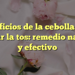 Beneficios de la cebolla para aliviar la tos: remedio natural y efectivo