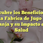 Descubre los Beneficios de una Fábrica de Jugo de Naranja y su Impacto en la Salud