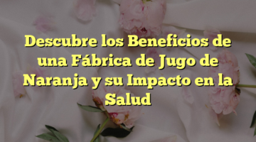 Descubre los Beneficios de una Fábrica de Jugo de Naranja y su Impacto en la Salud