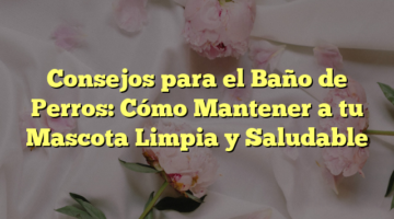 Consejos para el Baño de Perros: Cómo Mantener a tu Mascota Limpia y Saludable