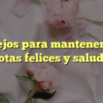 Consejos para mantener a tus mascotas felices y saludables