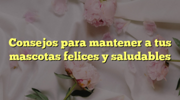 Consejos para mantener a tus mascotas felices y saludables