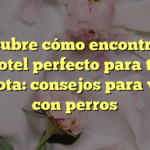 Descubre cómo encontrar el hotel perfecto para tu mascota: consejos para viajar con perros