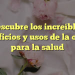 Descubre los increíbles beneficios y usos de la ortiga para la salud