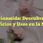 Niacinamida: Descubre sus Beneficios y Usos en la Salud