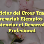 Beneficios del Cross Training Empresarial: Ejemplos para Potenciar el Desarrollo Profesional