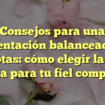Consejos para una alimentación balanceada en mascotas: cómo elegir la mejor comida para tu fiel compañero