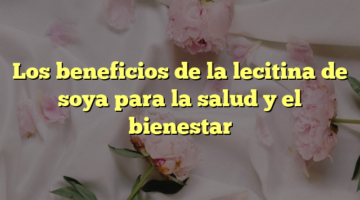Los beneficios de la lecitina de soya para la salud y el bienestar