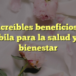 Los increíbles beneficios de la sábila para la salud y el bienestar