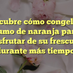 ¡Descubre cómo congelar el zumo de naranja para disfrutar de su frescura durante más tiempo!