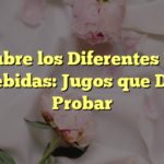 Descubre los Diferentes Tipos de Bebidas: Jugos que Debes Probar