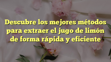 Descubre los mejores métodos para extraer el jugo de limón de forma rápida y eficiente