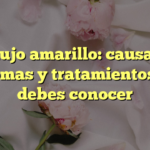 Flujo amarillo: causas, síntomas y tratamientos que debes conocer
