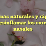 5 formas naturales y rápidas de desinflamar los cornetes nasales