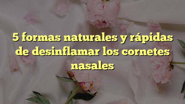5 Formas Naturales Y Rápidas De Desinflamar Los Cornetes Nasales