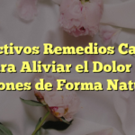 5 Efectivos Remedios Caseros para Aliviar el Dolor de Riñones de Forma Natural