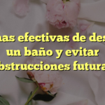 5 formas efectivas de destapar un baño y evitar obstrucciones futuras