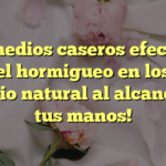 7 remedios caseros efectivos para el hormigueo en los pies: ¡Alivio natural al alcance de tus manos!