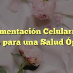 Alimentación Celular: La Clave para una Salud Óptima