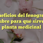 Beneficios del fenogreco: Descubre para qué sirve esta planta medicinal