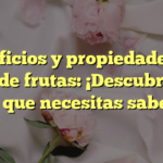 Beneficios y propiedades del zumo de frutas: ¡Descubre todo lo que necesitas saber!