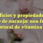 Beneficios y propiedades del zumo de naranja: una fuente natural de vitamina C