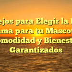 Consejos para Elegir la Mejor Cama para tu Mascota: Comodidad y Bienestar Garantizados