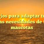 Consejos para adaptar tu casa a las necesidades de tus mascotas