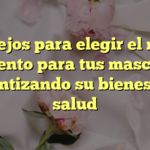 Consejos para elegir el mejor alimento para tus mascotas: garantizando su bienestar y salud