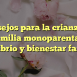 Consejos para la crianza en familia monoparental: Equilibrio y bienestar familiar