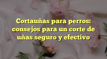 Cortauñas para perros: consejos para un corte de uñas seguro y efectivo