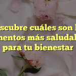 Descubre cuáles son los alimentos más saludables para tu bienestar
