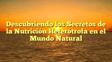 Descubriendo los Secretos de la Nutrición Heterótrofa en el Mundo Natural
