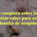 Guía completa sobre lo que necesitas saber para ser una familia de acogida